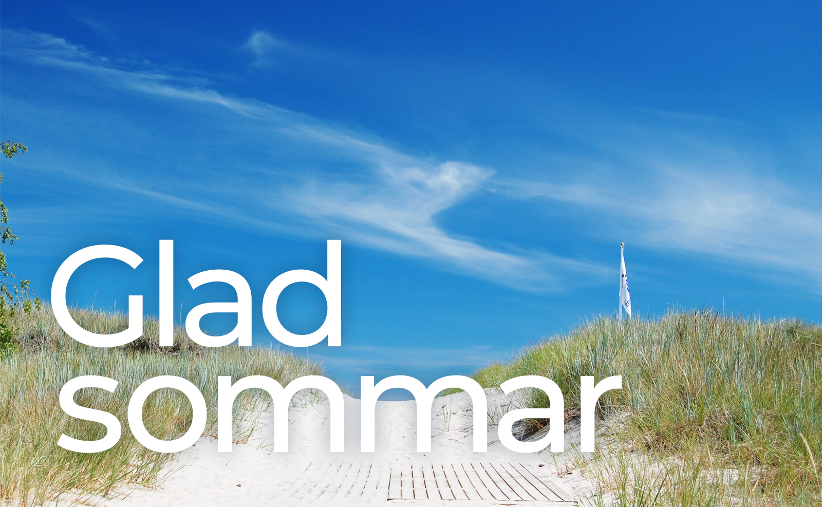 Glad sommar 2026 – vit sand, himmel och strandgräs